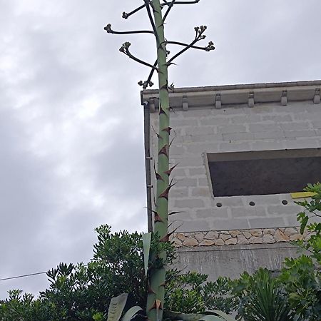 Apartmarin Trogir Luaran gambar