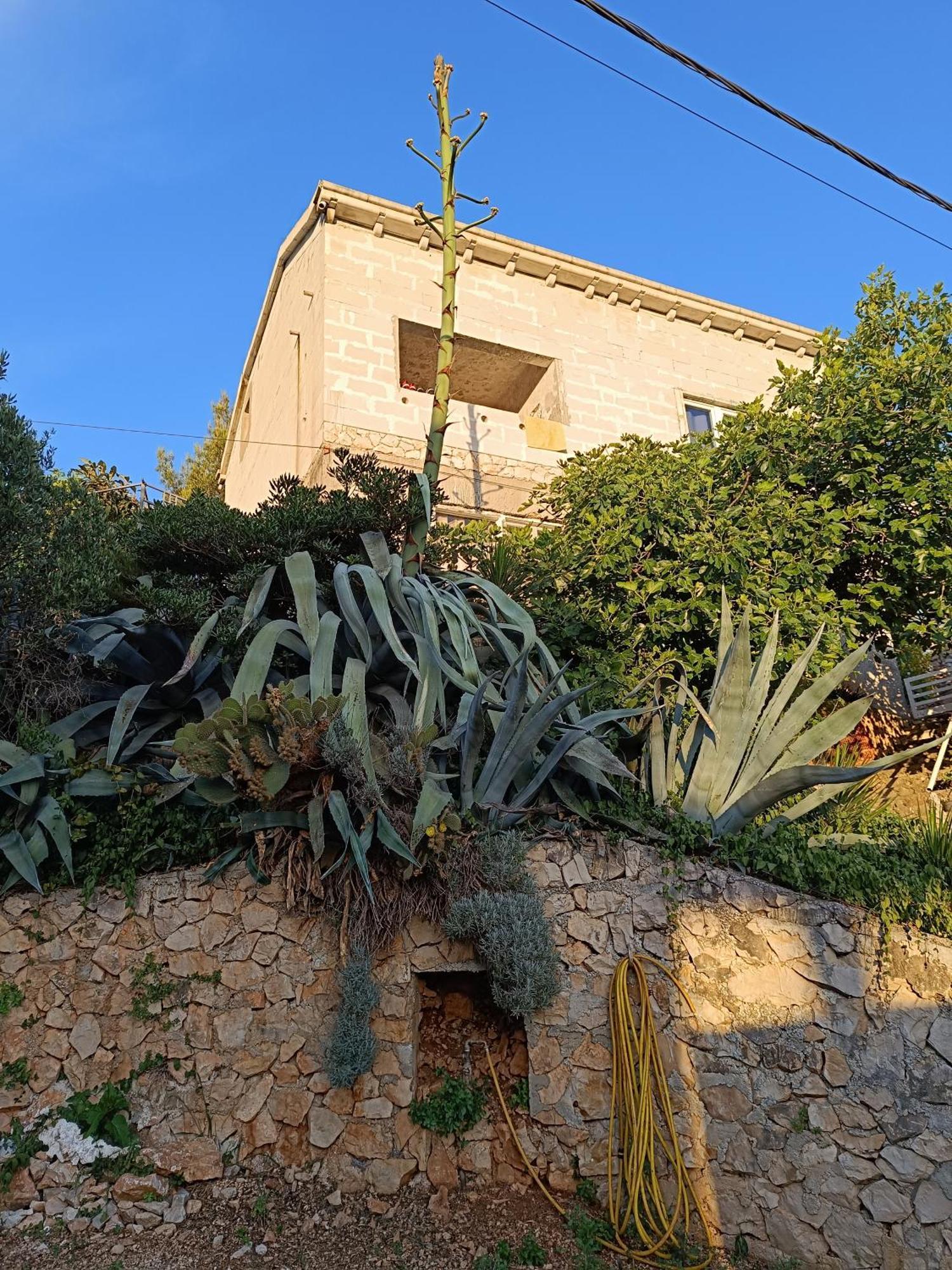Apartmarin Trogir Luaran gambar