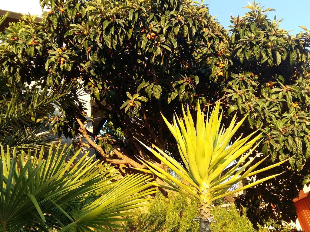 Apartmarin Trogir Luaran gambar